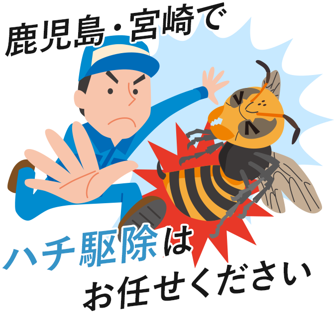 鹿児島・宮崎でハチ駆除はお任せください